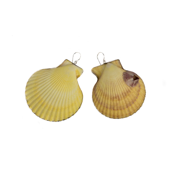 Sunshine Seashell Earrings